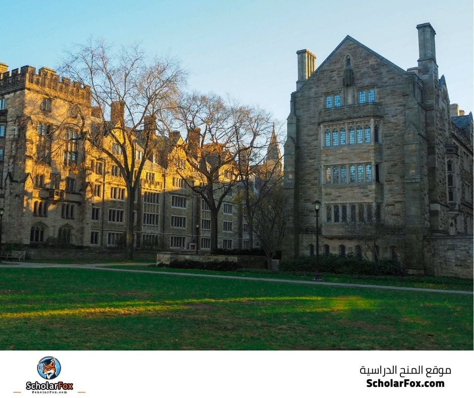جامعة ييل