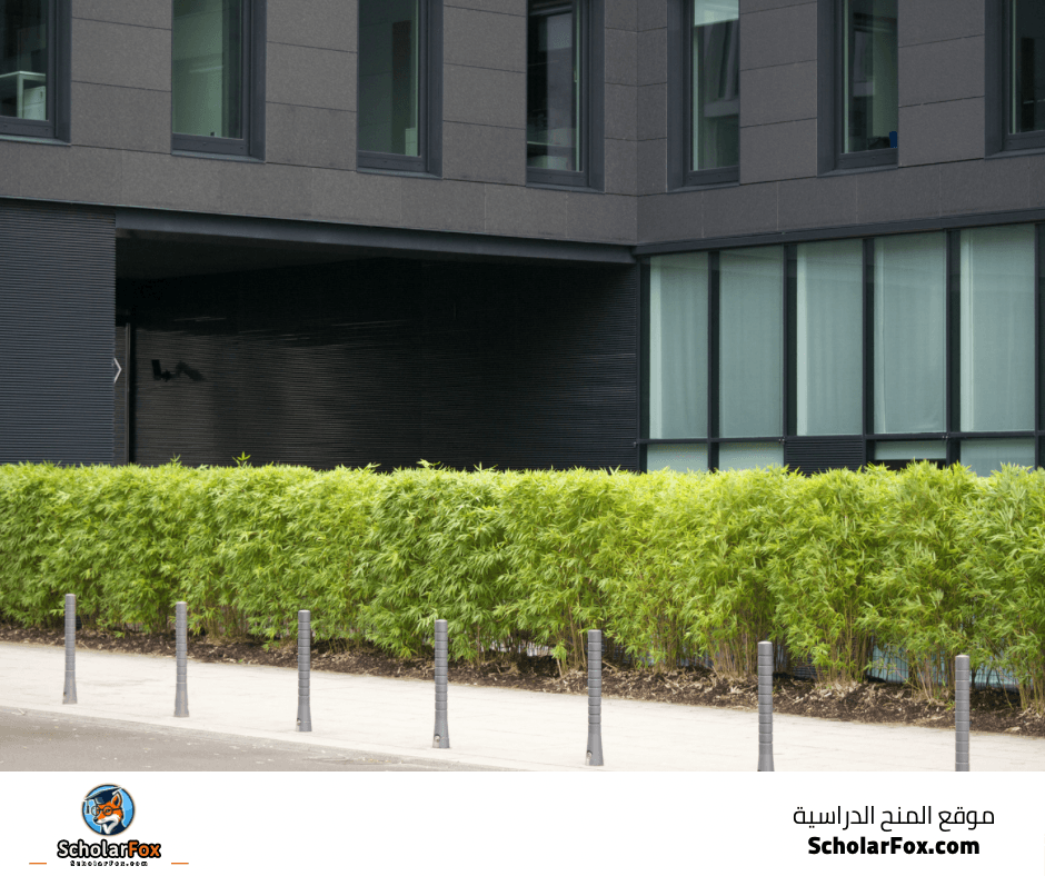 جامعة ستراسبورغ