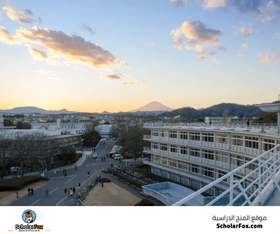 جامعة توكاي