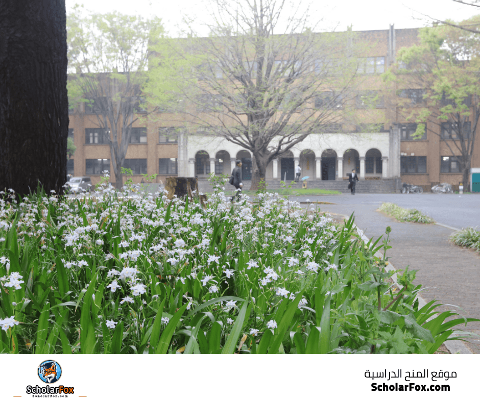 جامعة طوكيو