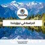 الدراسة في نيوزيلندا