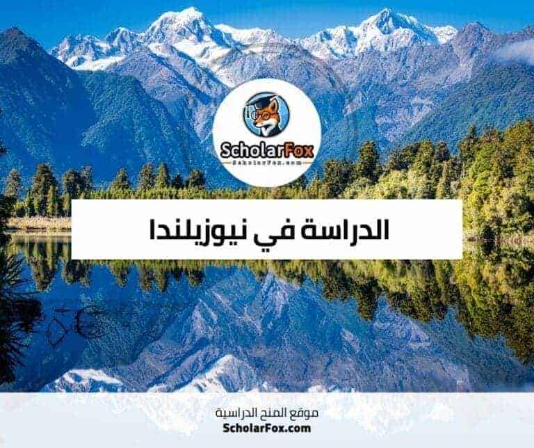الدراسة في نيوزيلندا