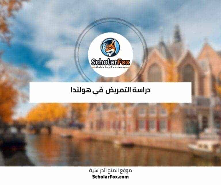 دراسة التمريض في هولندا