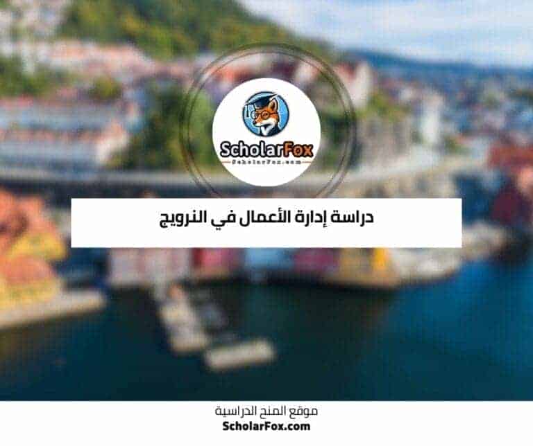 دراسة إدارة الأعمال في النرويج
