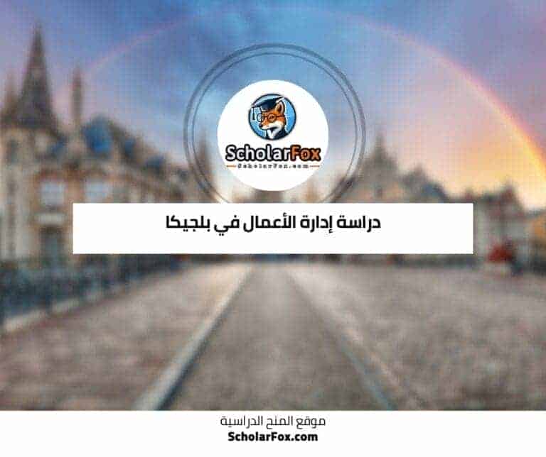 دراسة إدارة الأعمال في بلجيكا