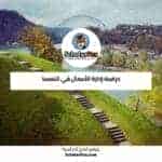 دراسة إدارة الأعمال في النمسا