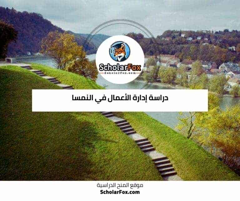 دراسة إدارة الأعمال في النمسا