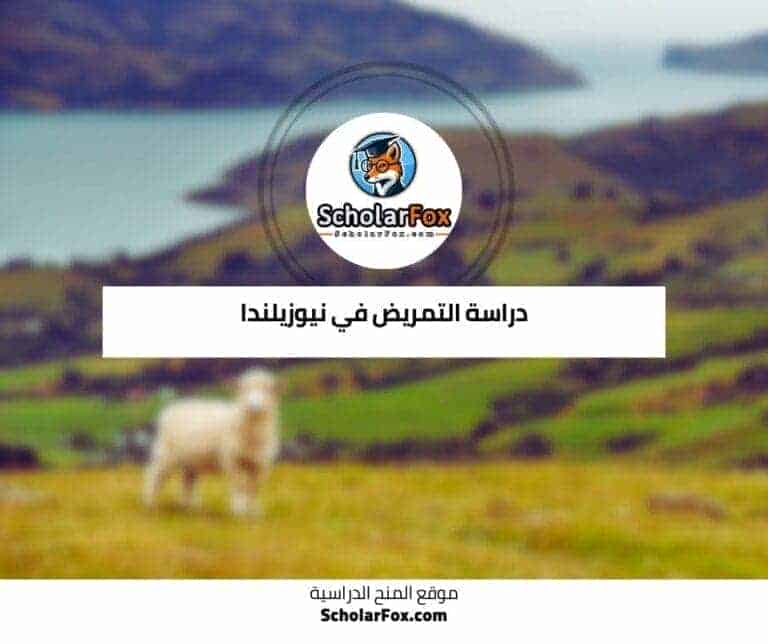 دراسة التمريض في نيوزيلندا