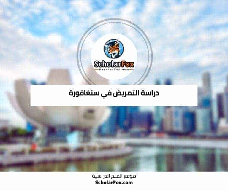 دراسة التمريض في سنغافورة