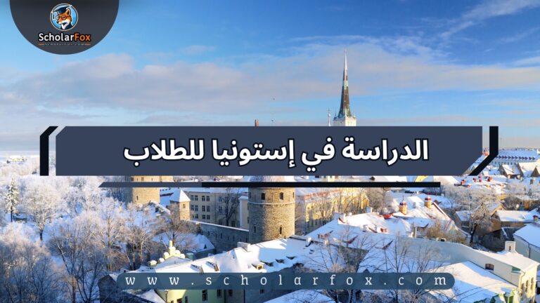 1 151 الدراسة في إستونيا للطلاب