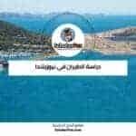 دراسة الطيران في نيوزيلندا