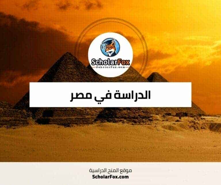 الدراسة في مصر