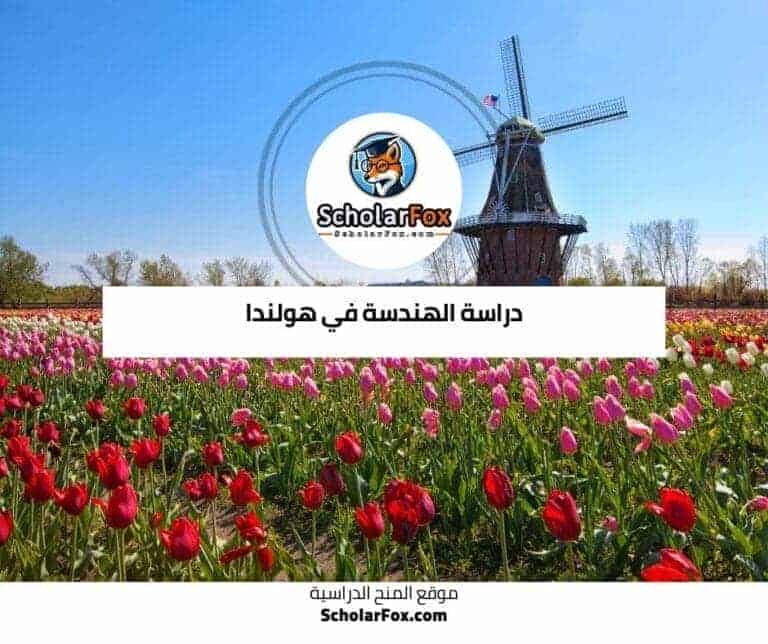 دراسة الهندسة في هولندا