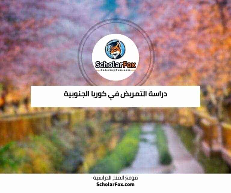 دراسة التمريض في كوريا الجنوبية