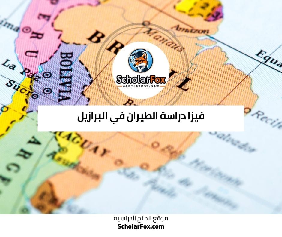 فيزا دراسة الطيران في البرازيل