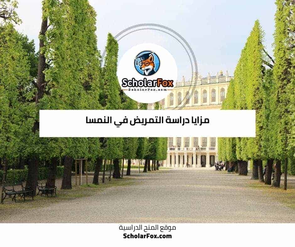 دراسة التمريض في النمسا 3 مزايا دراسة التمريض في النمسا