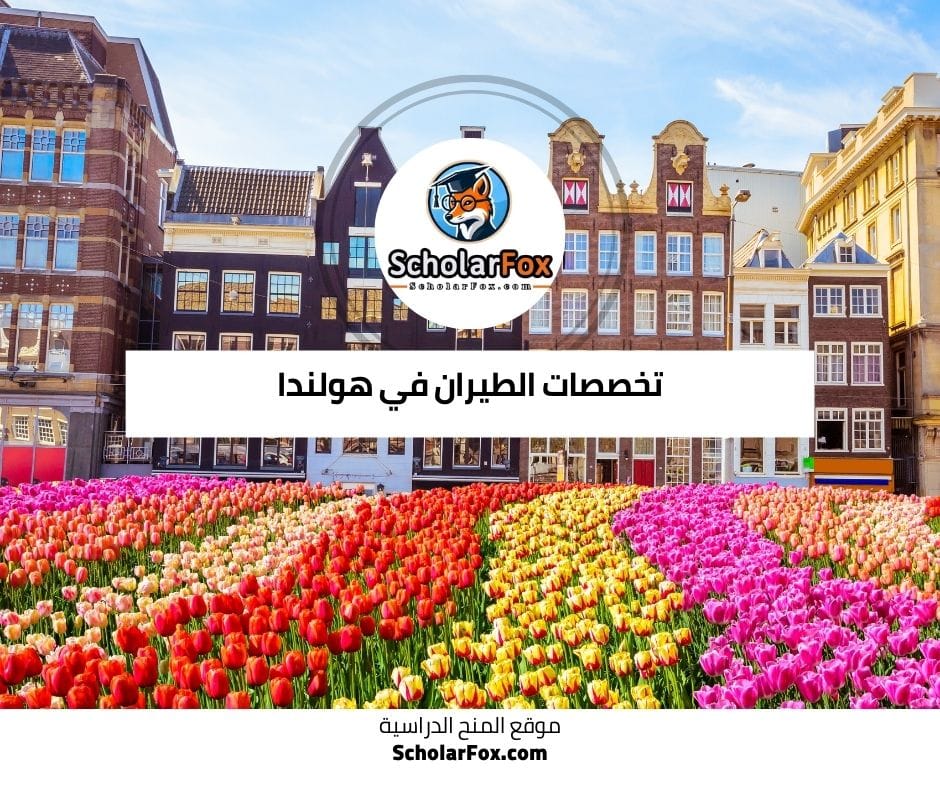 تخصصات الطيران في هولندا