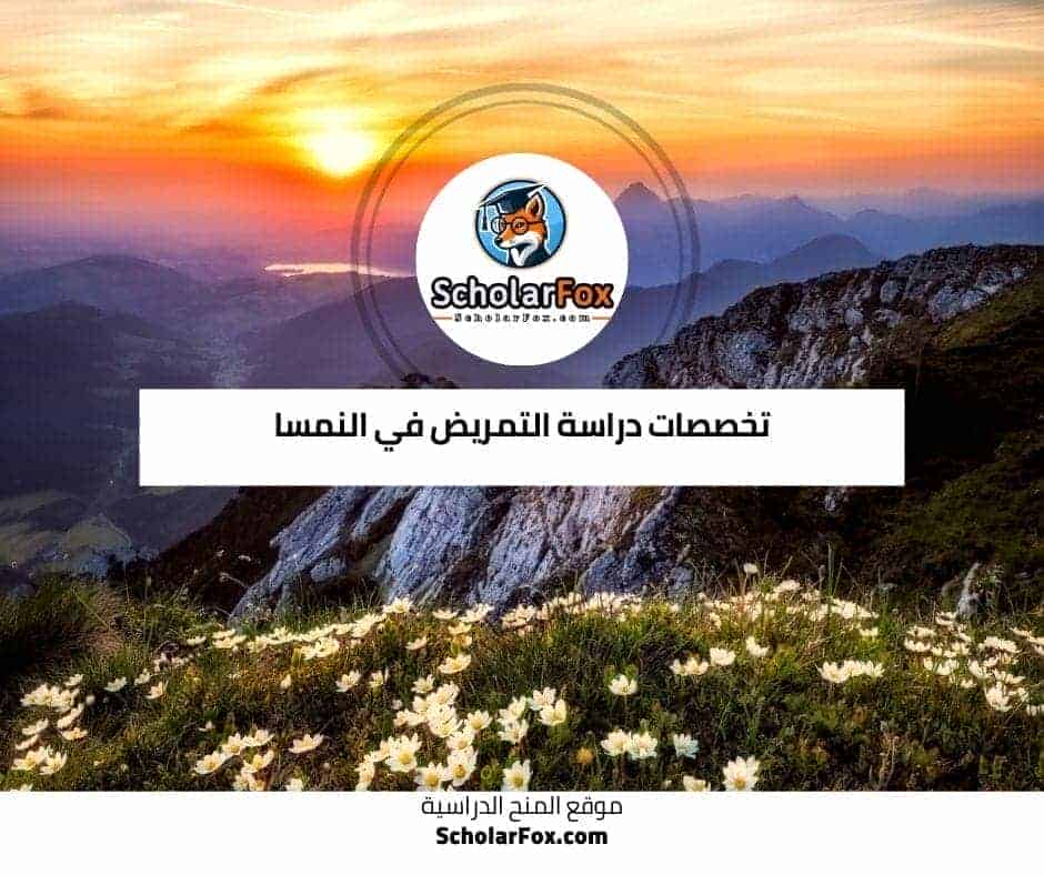 دراسة التمريض في النمسا 5 تخصصات التمريض في النمسا