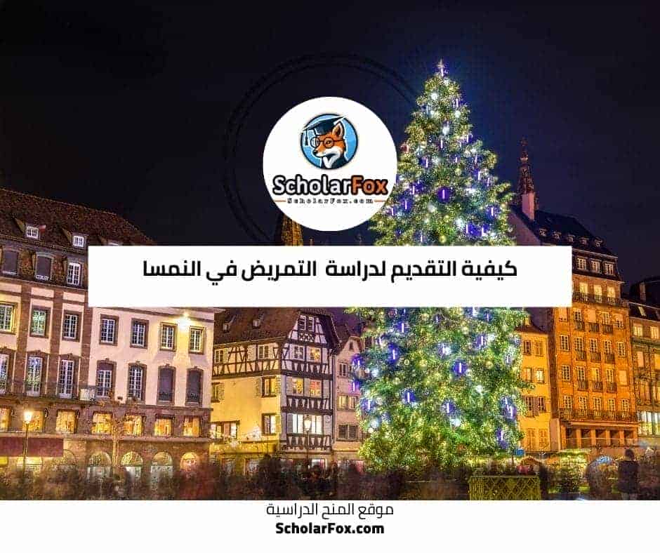 دراسة التمريض في النمسا 8 كيفية التقديم لدراسة التمريض في النمسا