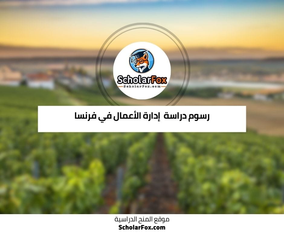 رسوم دراسة إدارة الأعمال في فرنسا