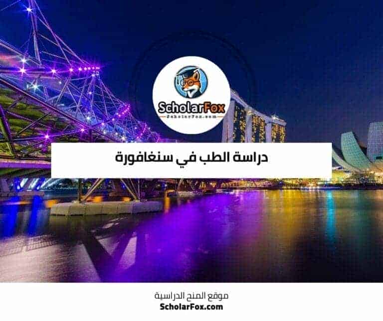 دراسة الطب في سنغافورة