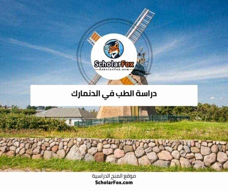 دراسة الطب في الدنمارك