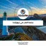دراسة الطب في نيوزيلندا
