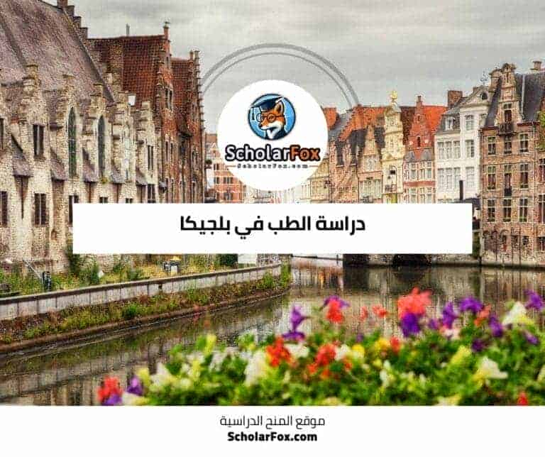دراسة الطب في بلجيكا