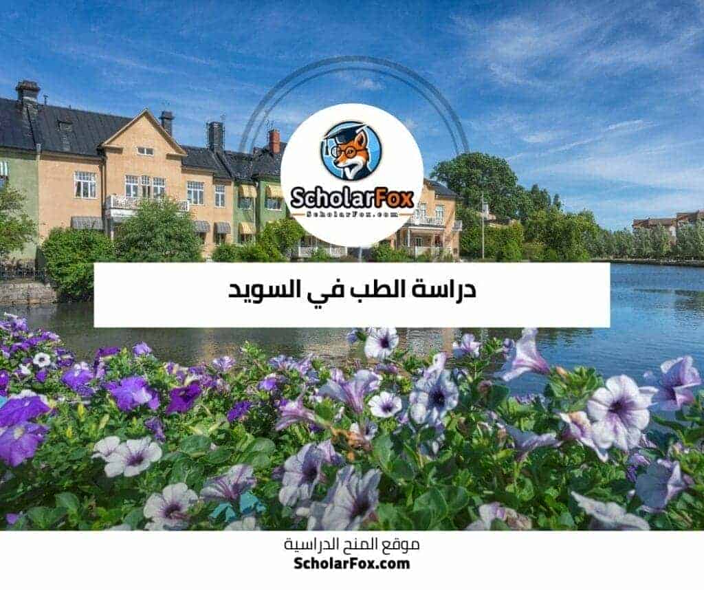 دراسة الطب في السويد