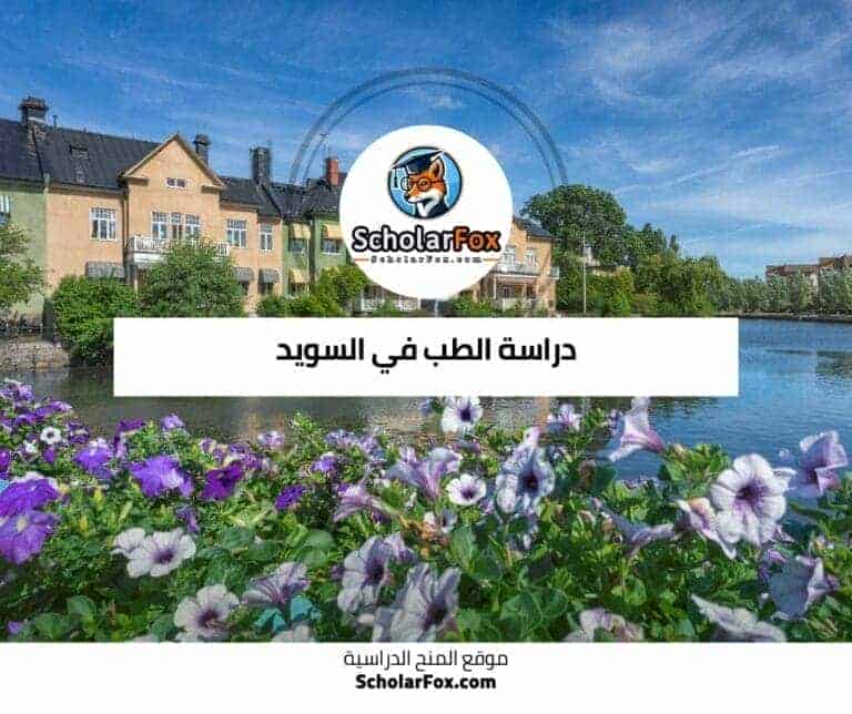 دراسة الطب في السويد