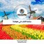 دراسة الطب في هولندا