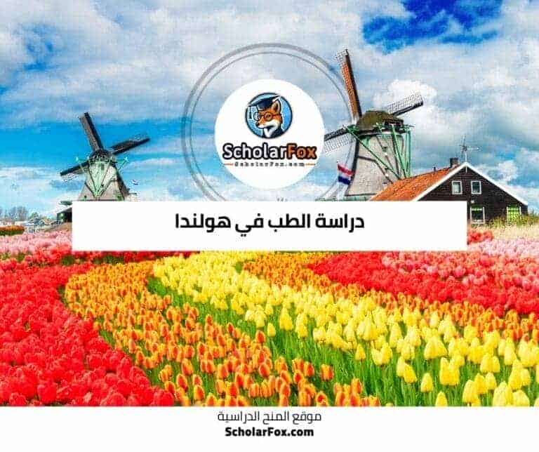 دراسة الطب في هولندا