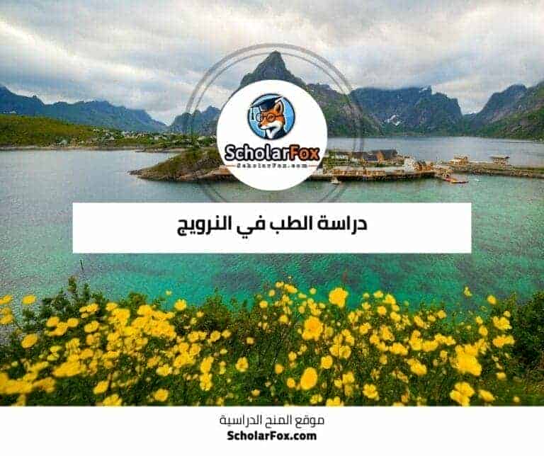 دراسة الطب في النرويج