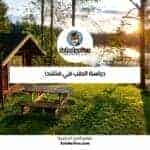 دراسة الطب في فنلندا