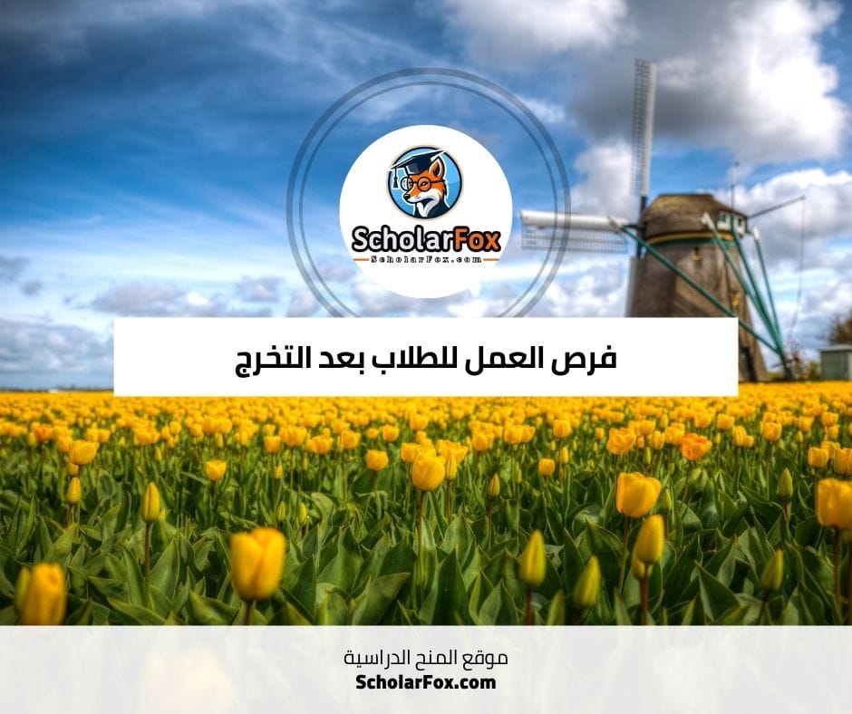 فرص العمل للطلاب بعد التخرج