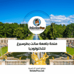 منحة جامعة سانت بطرسبرغ للتكنولوجيا