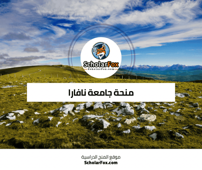 منحة جامعة نافارا