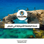منحة الجامعة الأمريكية في قبرص