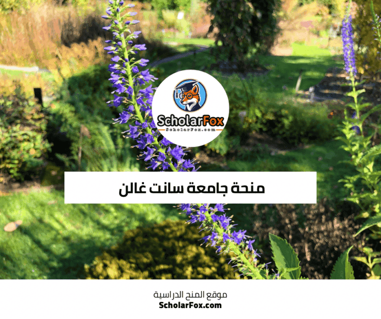 منحة جامعة سانت غالن