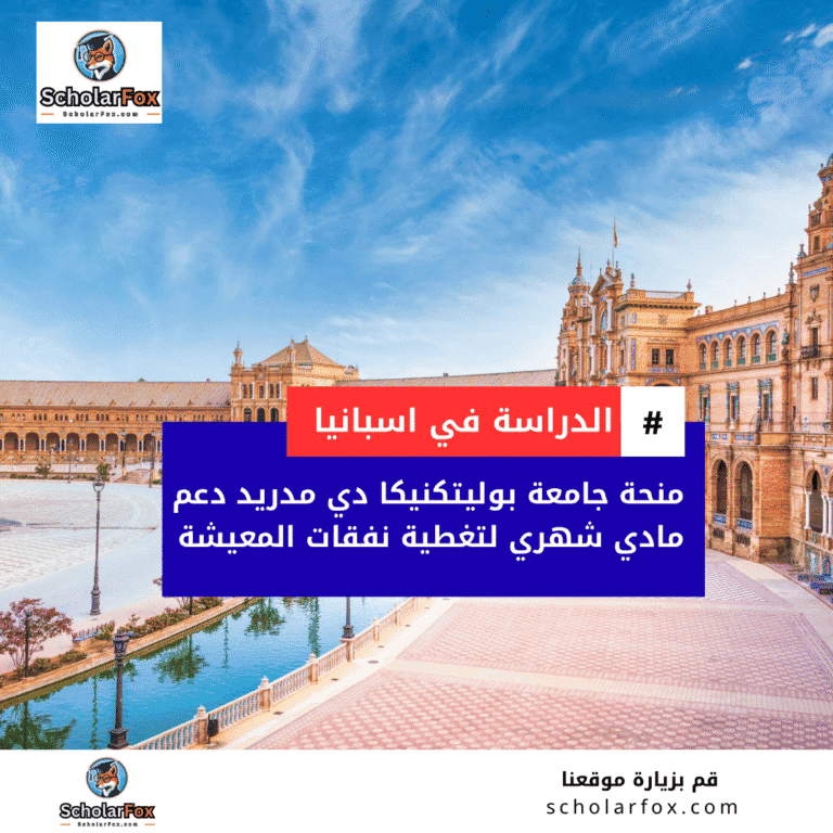 منحة جامعة بوليتكنيكا دي مدريد