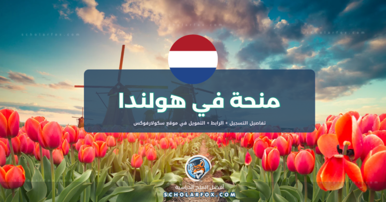 scholarfox.com Template منحة جامعة فريجي أمستردام للطلاب الأجانب
