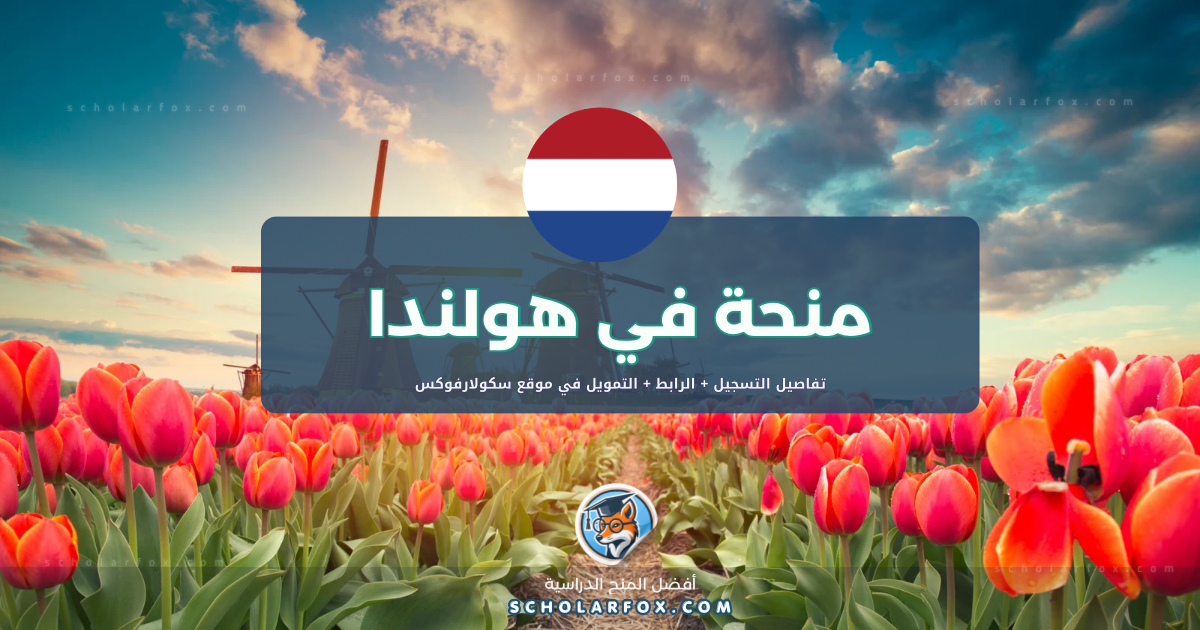 scholarfox.com Template منحة جامعة فريجي أمستردام للطلاب الأجانب