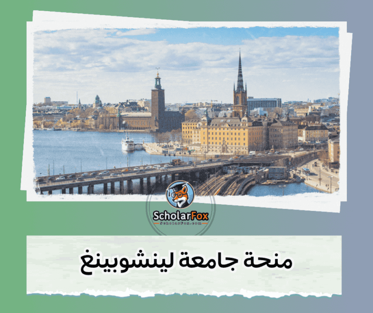 منحة جامعة لينشوبينغ