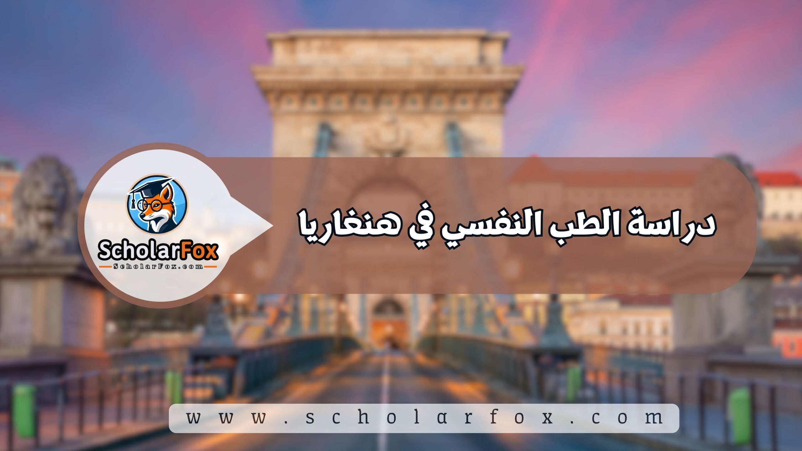 1 18 دراسة الطب النفسي في هنغاريا