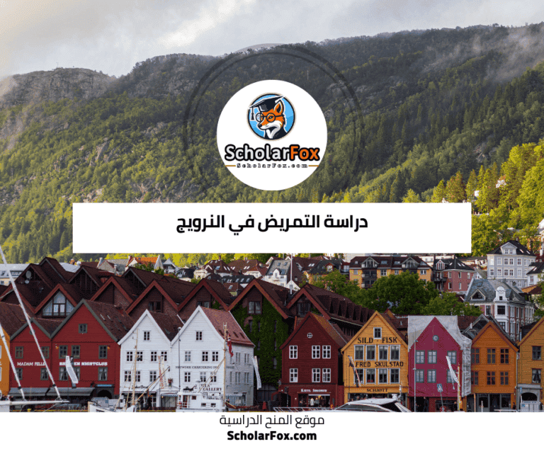 دراسة التمريض في النرويج