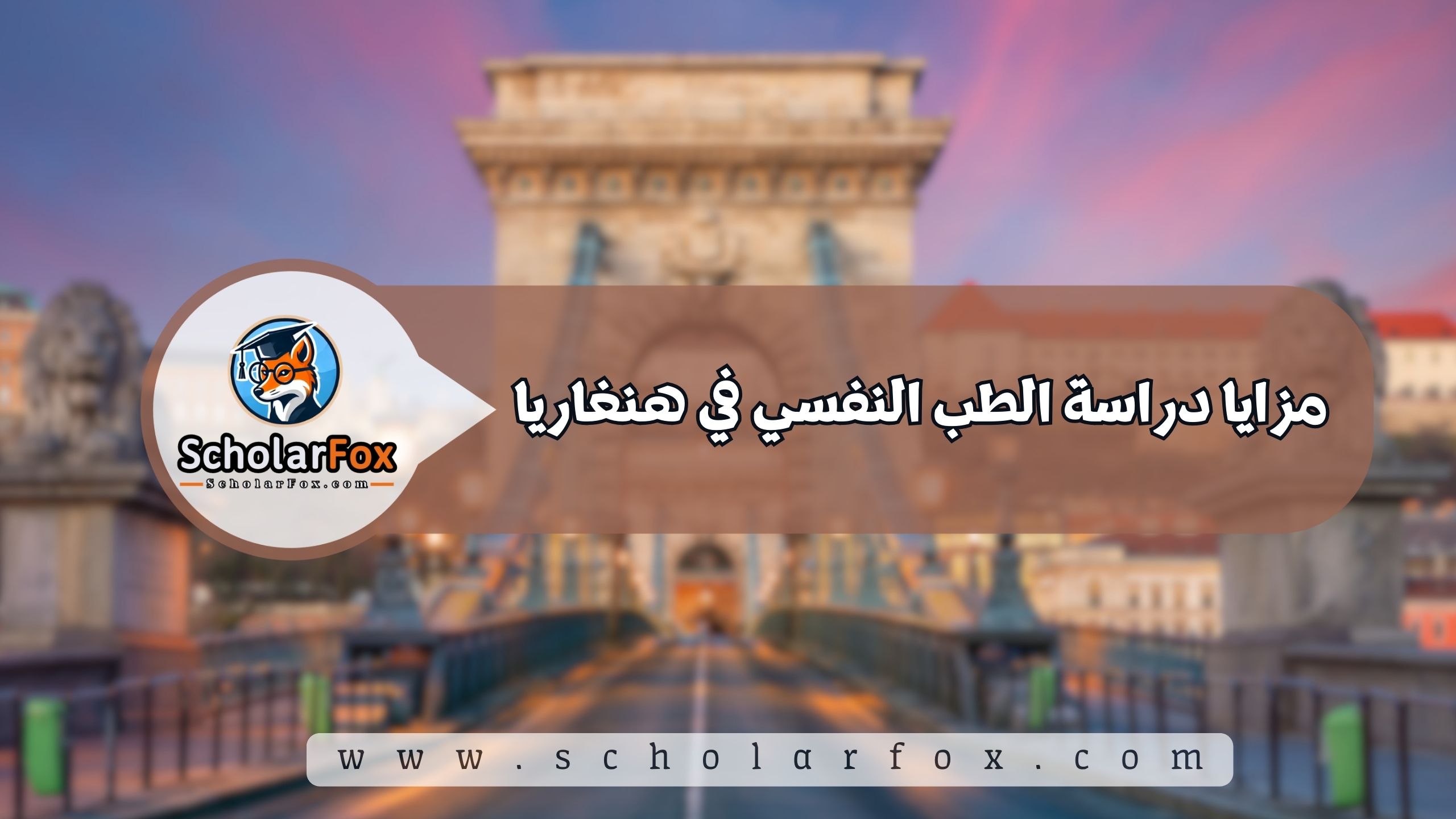 مزايا دراسة الطب النفسي في هنغاريا