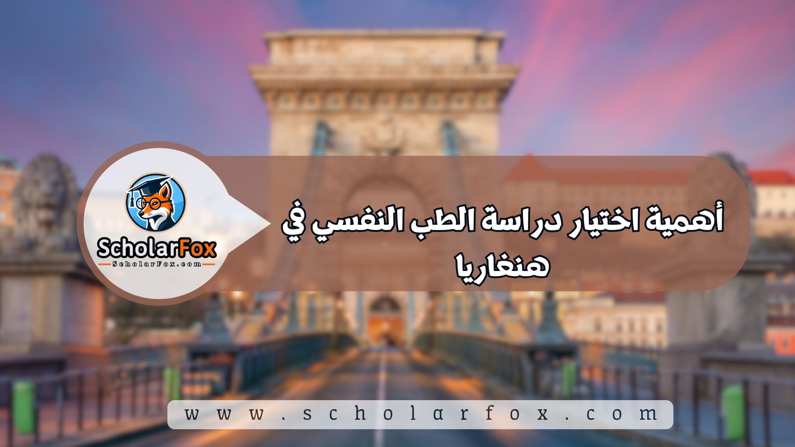 أهمية اختيار دراسة الطب النفسي في هنغاريا