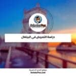 دراسة التمريض في البرتغال
