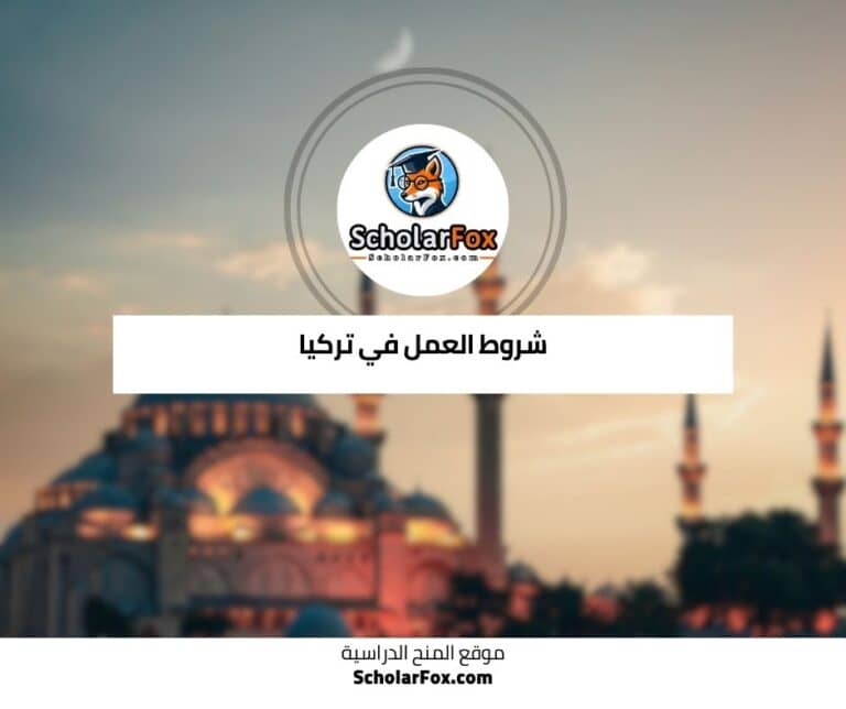 العمل في تركيا