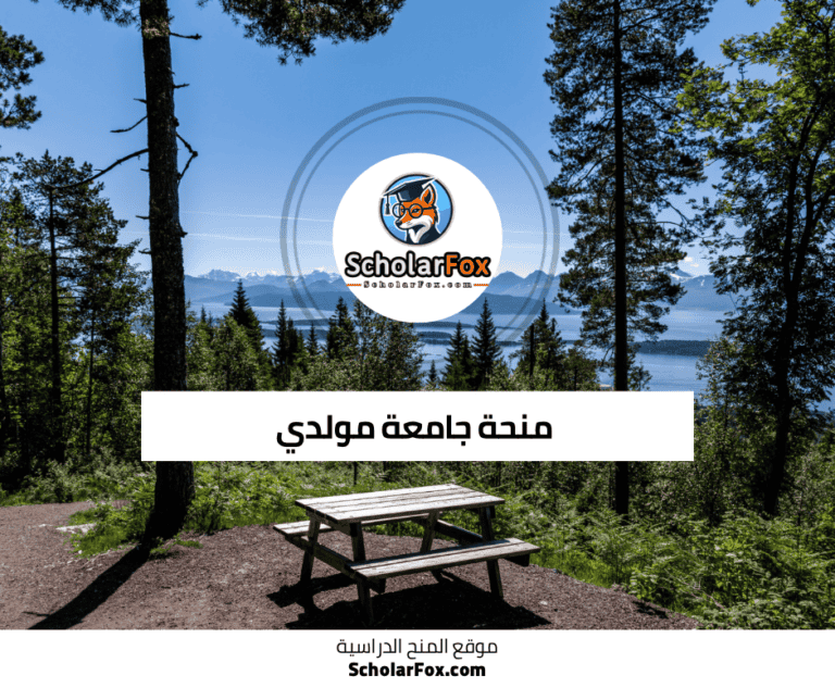 منحة جامعة مولدي